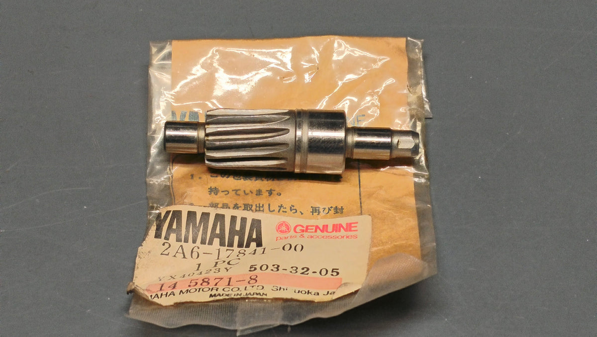 Yamaha Genuine DT125 Tachometer Drive Gear 2A6-17841-00
