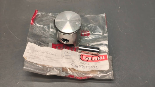 Derbi Senda / GPR 50 Piston Assy 00H02542091