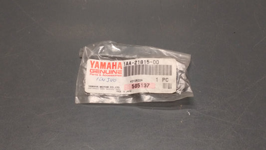 Yamaha genuine new yzf tzr xj fzs fzr fz tz tdm rz xp yp dt cap pn 1aa-21815-00