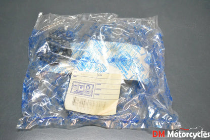 Piaggio genuine new Hexagon 180 oil pump chain pn 4837772