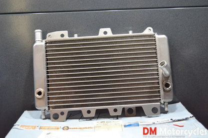 Piaggio genuine new beverly x9 gilera runner vxr fxr radiator pn 57301r