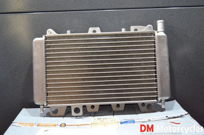 Piaggio genuine new beverly x9 gilera runner vxr fxr radiator pn 57301r