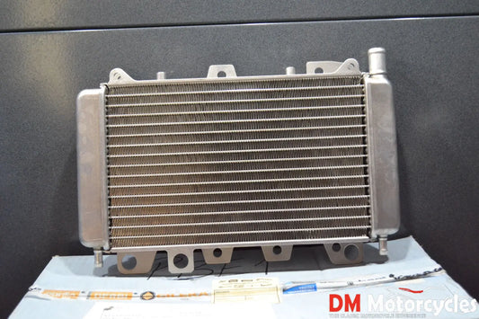 Piaggio genuine new beverly x9 gilera runner vxr fxr radiator pn 57301r