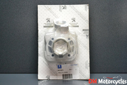 Peugeot genuine speedfight buxy elyseo looxor trekker 50 cylinder kit pn 803323
