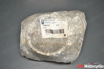Peugeot genuine new elystar 125 150 flywheel generator rotor magneto pn 746715