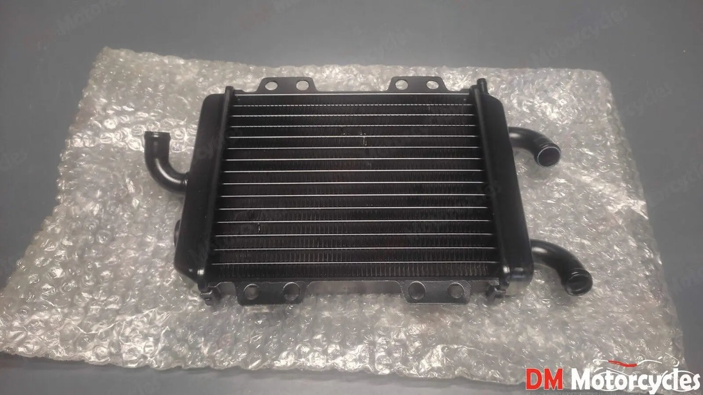 Peugeot genuine new elyseo 125 radiator assy pn 45239