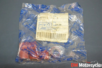 Piaggo genuine new Gilera runner 125 FX 2t Hexagon Lx roller kit pn 4827915