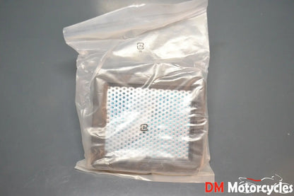 Honda genuine new Zoomer Ruckus chf nps 50 air filter element pn 17213-get-000
