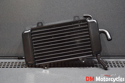 Piaggio genuine new zip sp radiator assy pn 561050