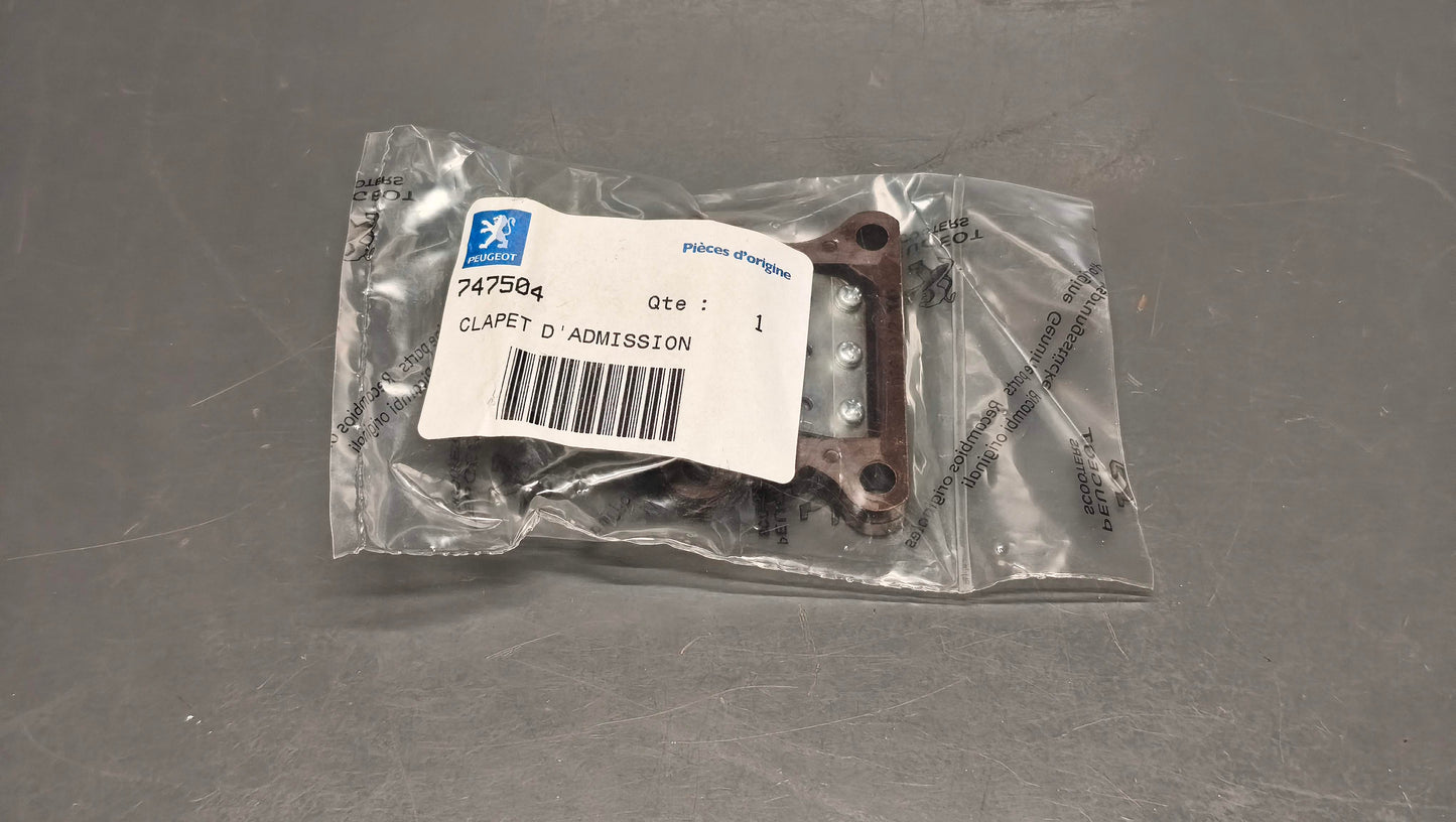 Genuine Peugeot Speedfight Reed Valve 747504