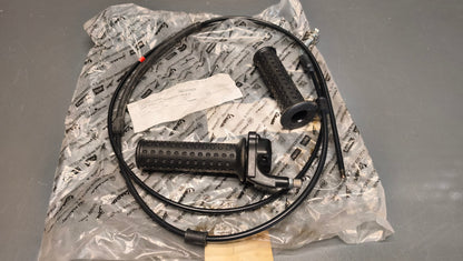 Genuine Piaggio Fly / SportCity Throttle Assembly CM060960