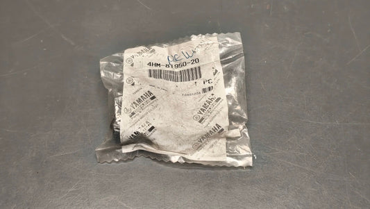 Yamaha Multi-Purpose Relay Assembly 4HM-81950-20